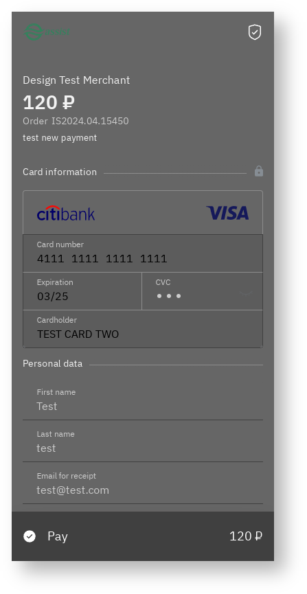 Documentations English > Additional options for changing the appearance of payment pages > screenshot-26.png
